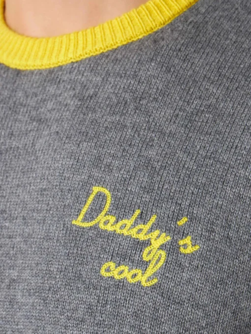 Maglia da uomo grigia con ricamo Daddy's cool